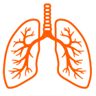 Tütün Ürünleri ve Zararları