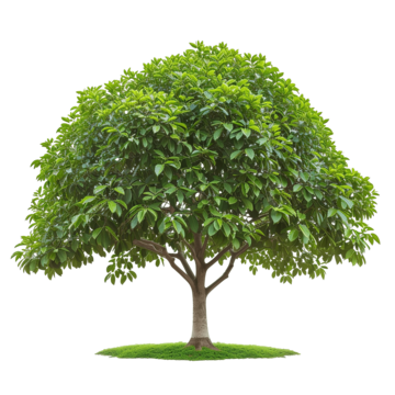 Image is not available