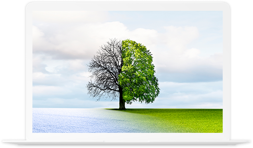 Image is not available