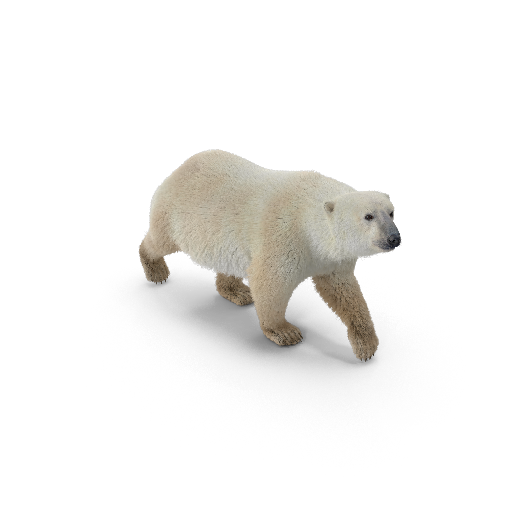 Image is not available