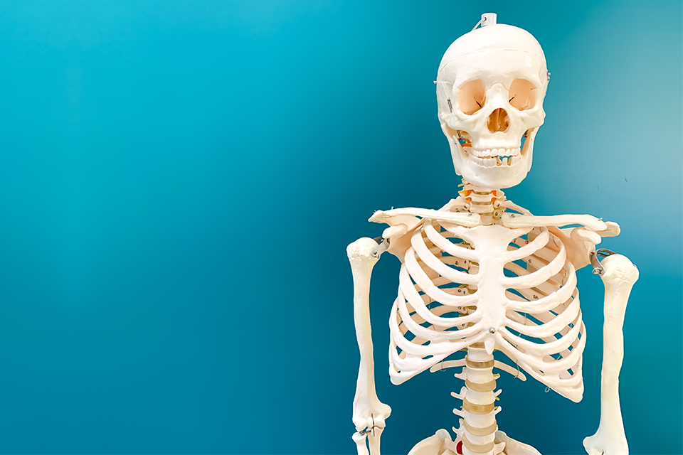 Image is not available