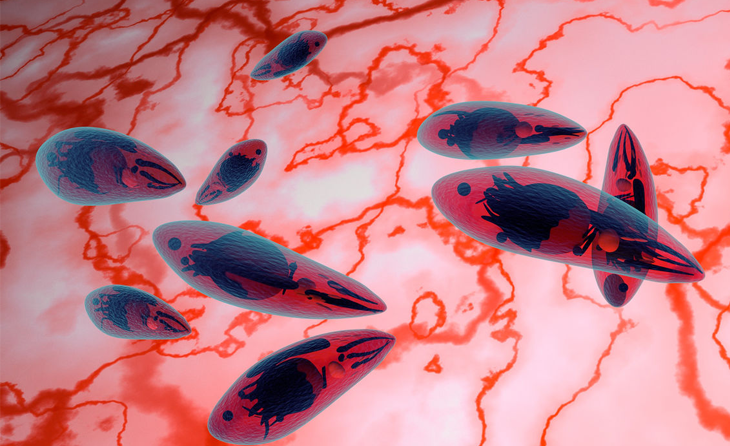 Giardia İntestinalis