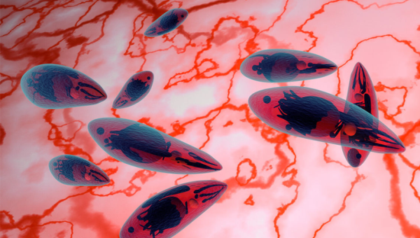 Giardia İntestinalis