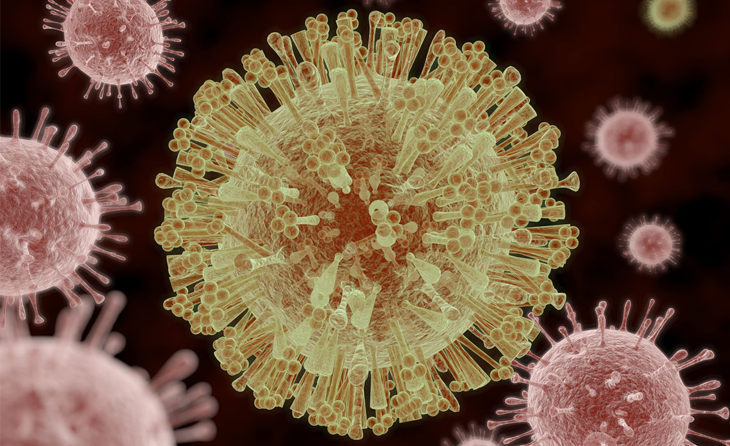 Zika Virüs Hastalığı