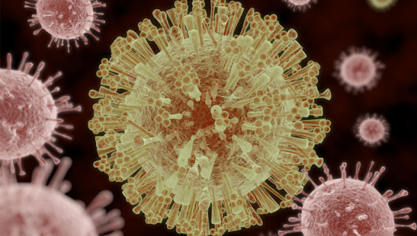 Zika Virüs Hastalığı